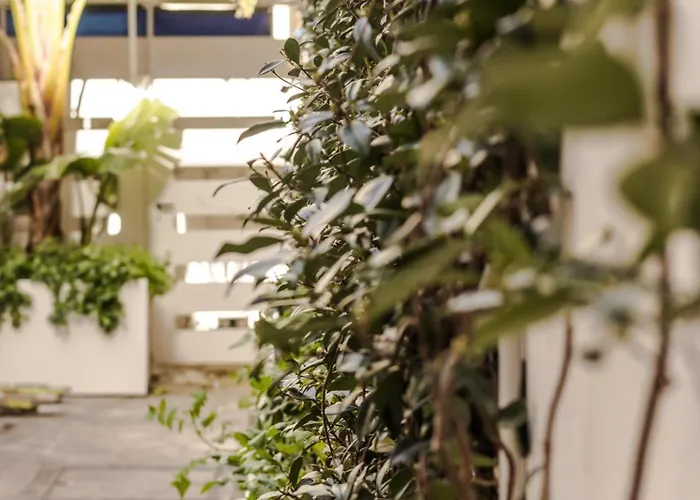 Dsluxury ペスカーラ